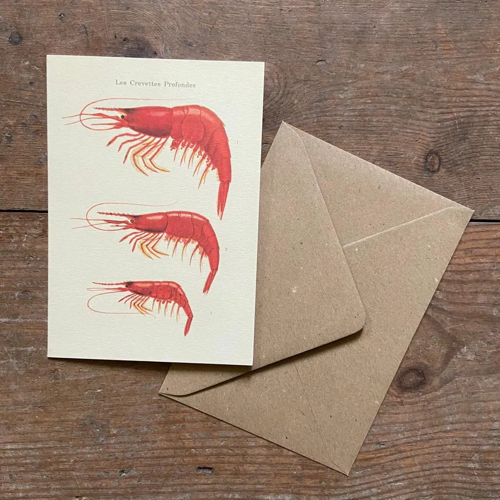 Crevettes Greeting Card